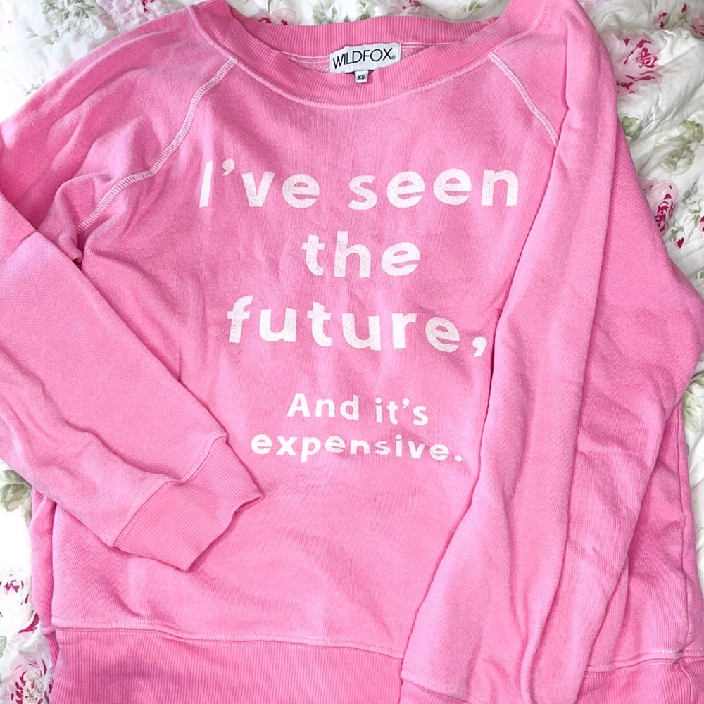 Wildfox Couture I’ve Seen the Future and it’s Expensive Pullover Sweatshirt Top